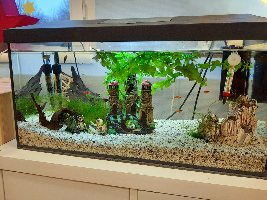 im gruppenraum steht ein grosses aquarium