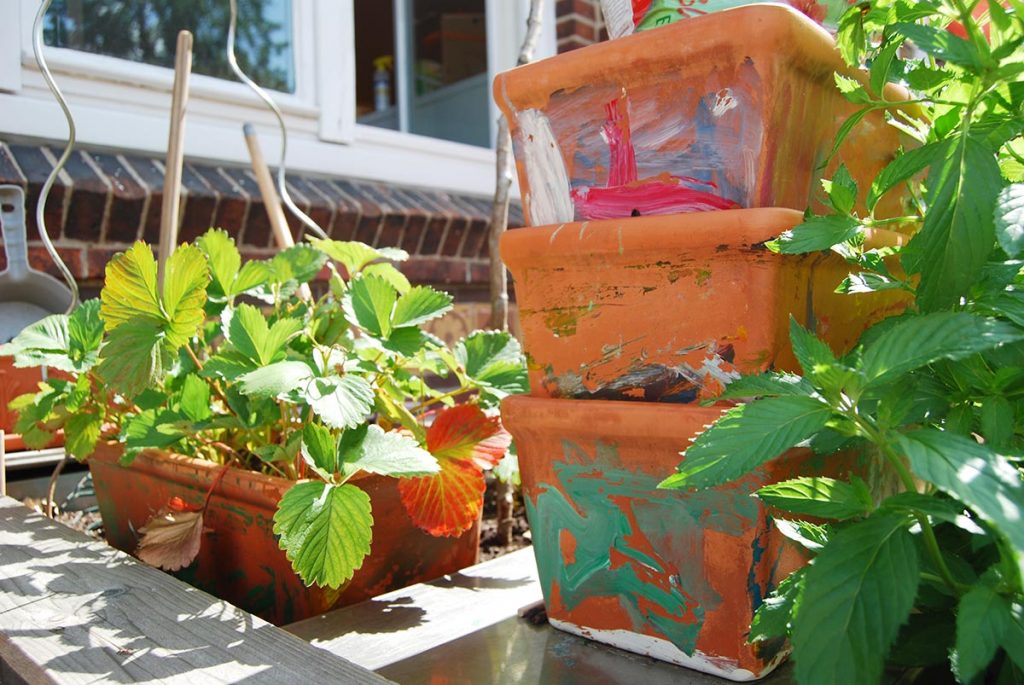 unsere erdbeeren sind bald reif